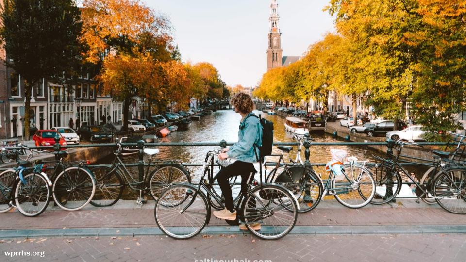 เมืองเก่ารอตเตอร์ดัม (Rotterdam) คือเมืองที่มีเสน่ห์ในแบบที่แตกต่างออกไป เมืองแห่งนี้ได้ลบภาพลักษณ์เมืองเก่าในอดีตและสร้างสรรค์
