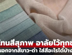 โทนสีสุภาพ